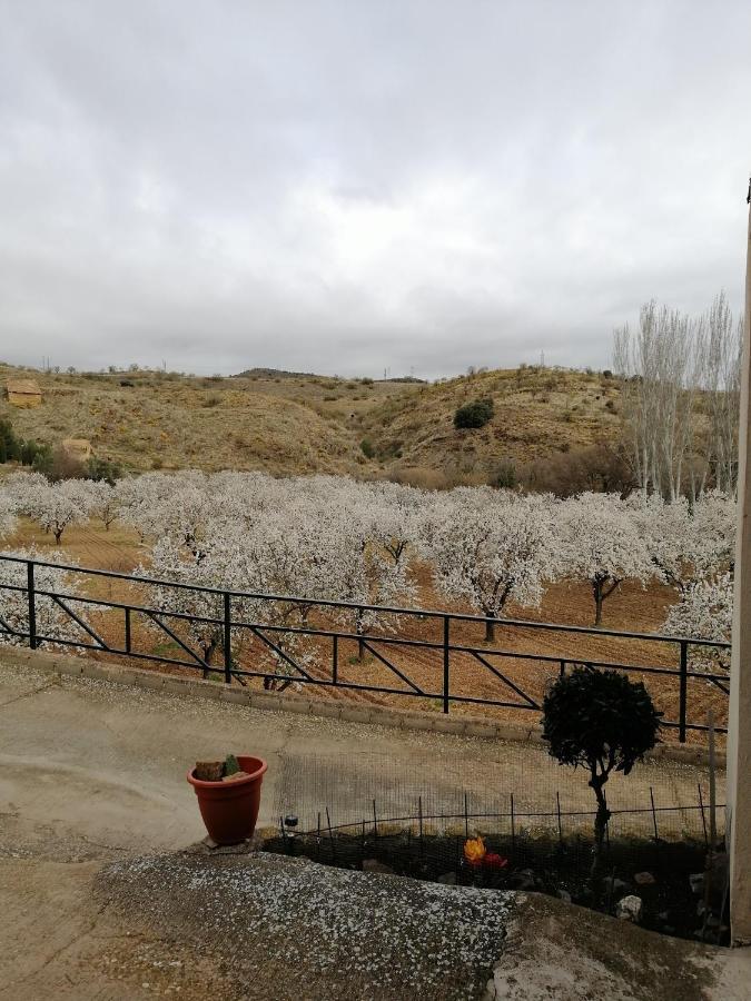 Apartamentos Rurales Camino Del Cid Castejón de las Armas Zewnętrze zdjęcie