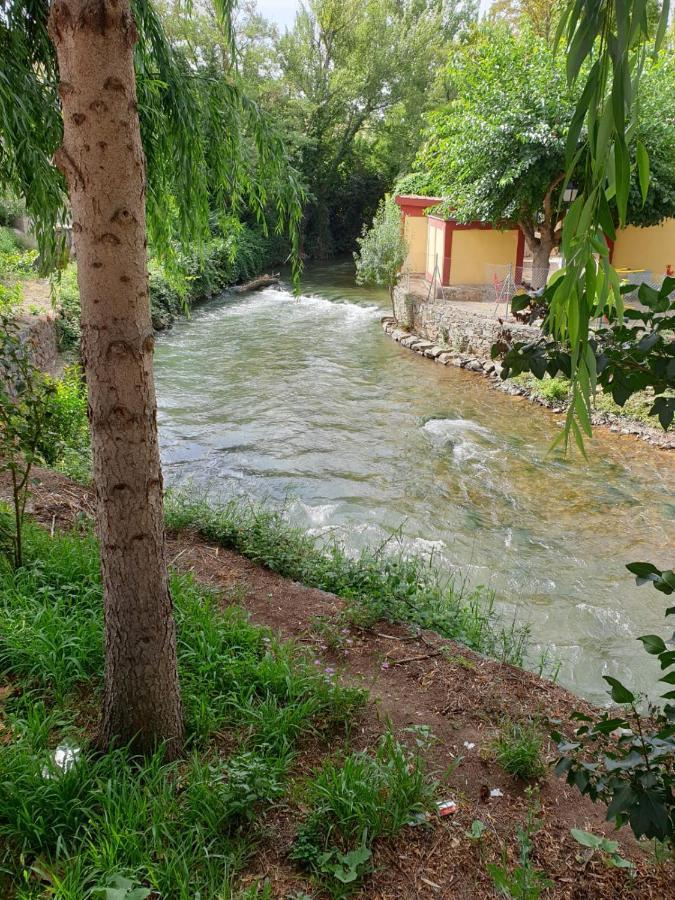 Apartamentos Rurales Camino Del Cid Castejón de las Armas Zewnętrze zdjęcie