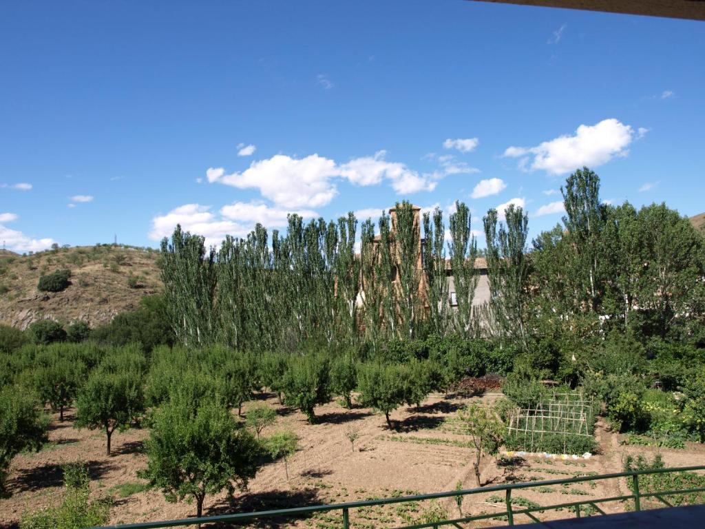 Apartamentos Rurales Camino Del Cid Castejón de las Armas Zewnętrze zdjęcie