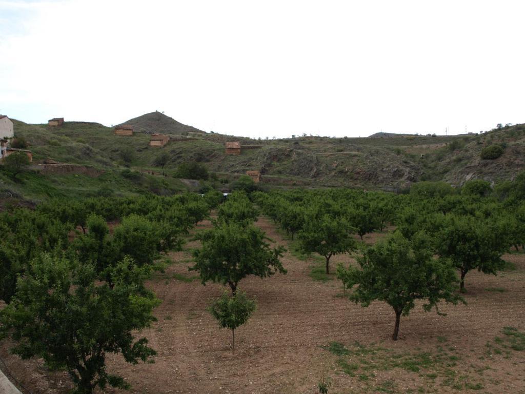 Apartamentos Rurales Camino Del Cid Castejón de las Armas Zewnętrze zdjęcie