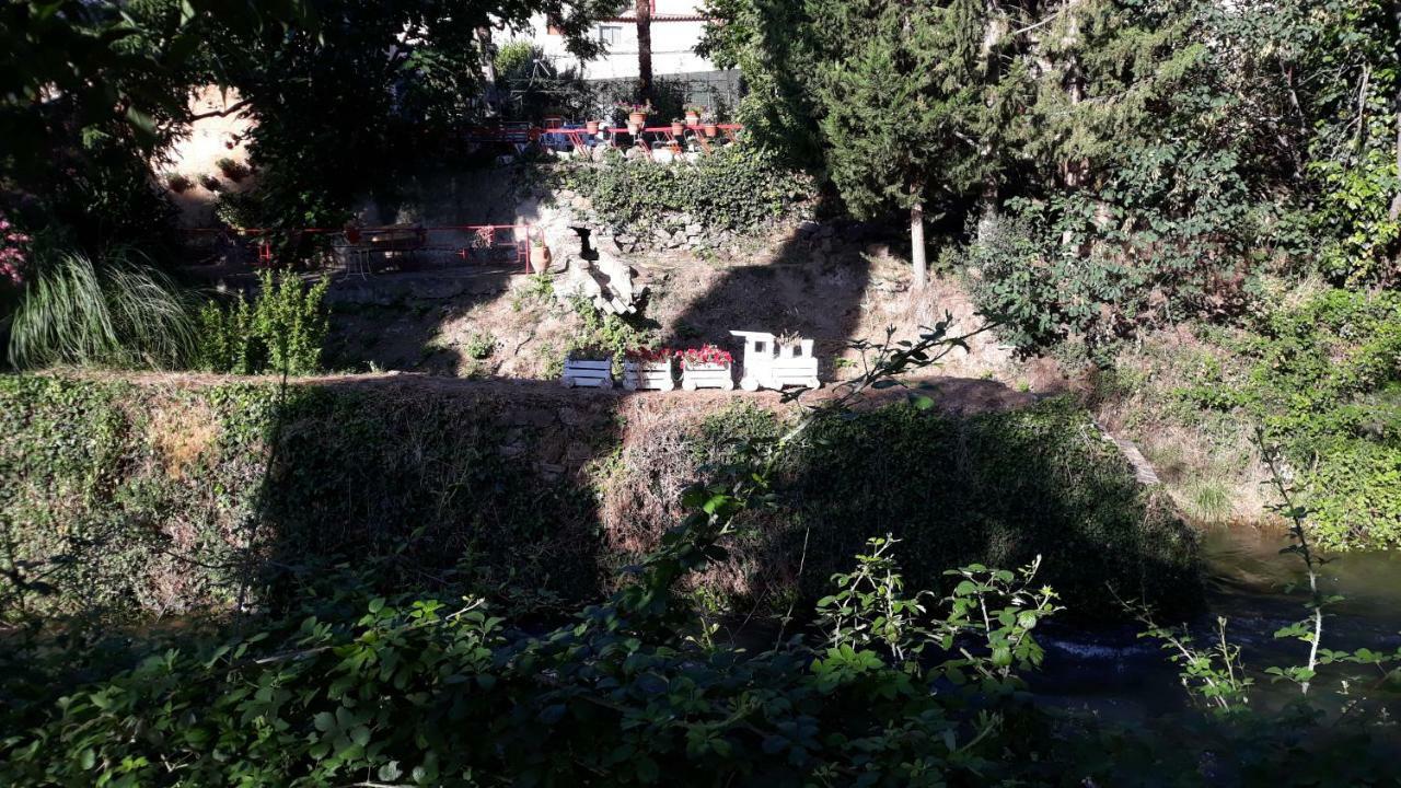 Apartamentos Rurales Camino Del Cid Castejón de las Armas Zewnętrze zdjęcie