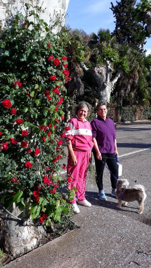 Apartamentos Rurales Camino Del Cid Castejón de las Armas Zewnętrze zdjęcie